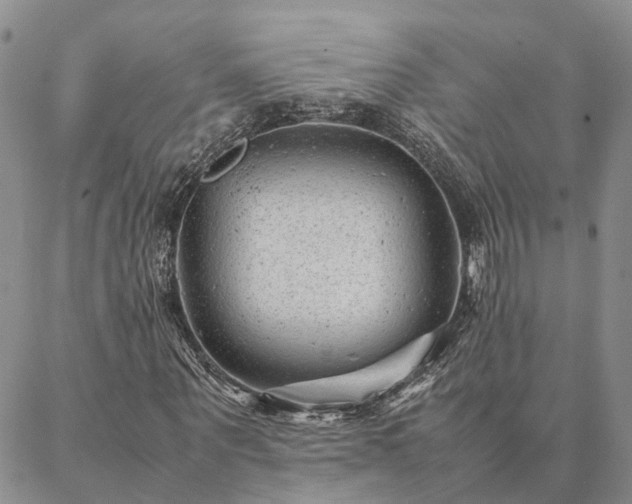 X0000087390867200704271620