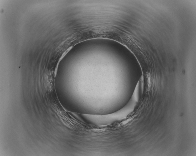 X0000087390868200704271620