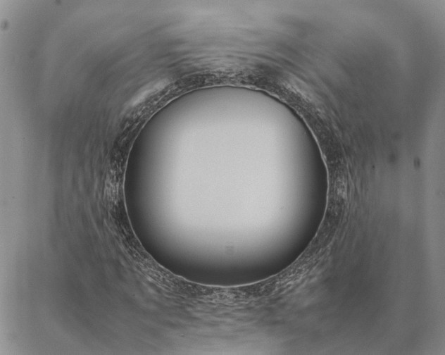 X0000087390869200704271620