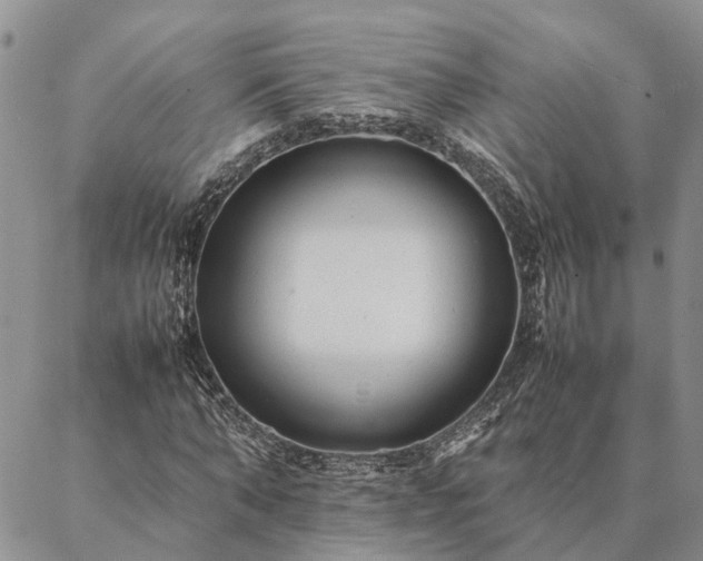 X0000087390870200704271620