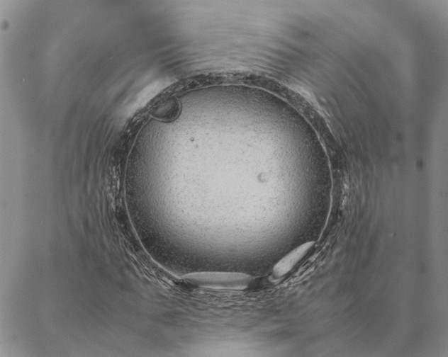 X0000087390871200704271620