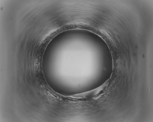 X0000087390872200704271620