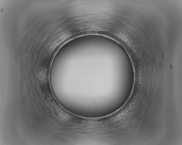 X0000087390873200704271620