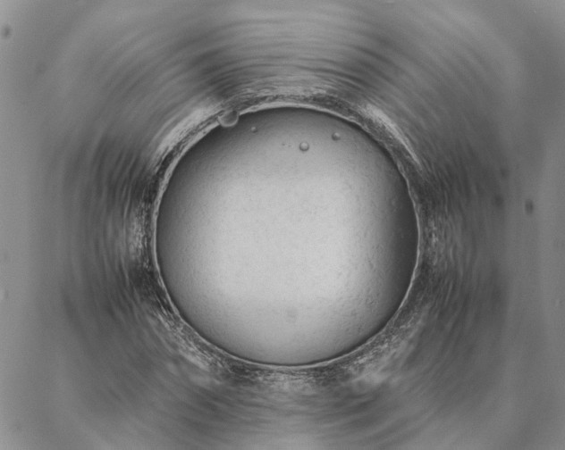 X0000087390874200704271620