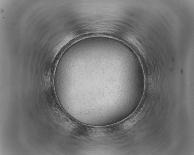 X0000087390875200704271619