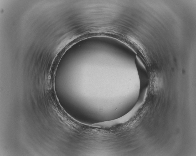 X0000087390876200704271619