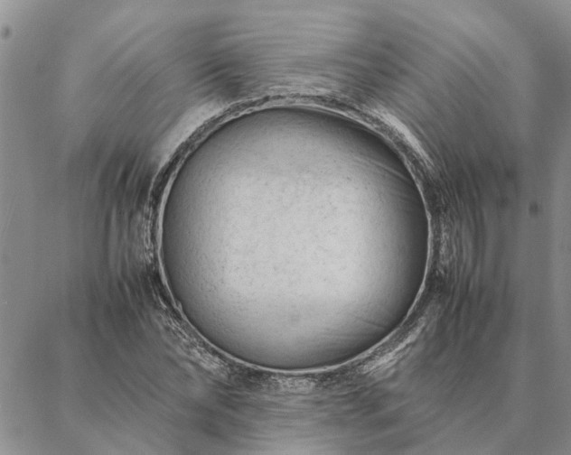 X0000087390878200704271619