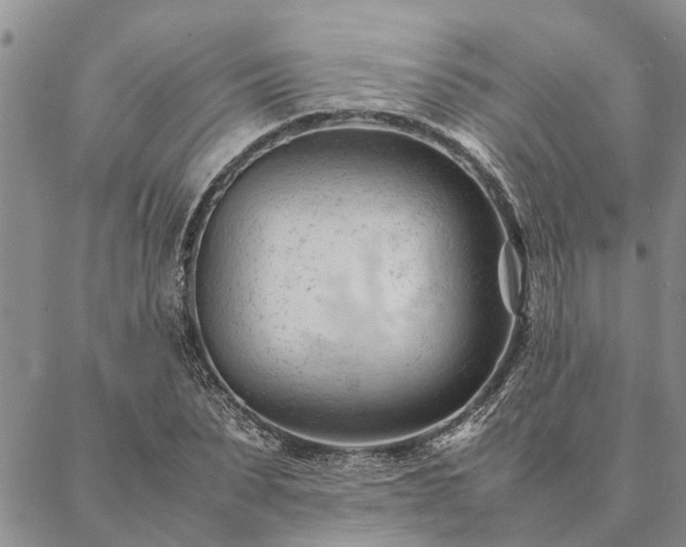 X0000087390879200704271619