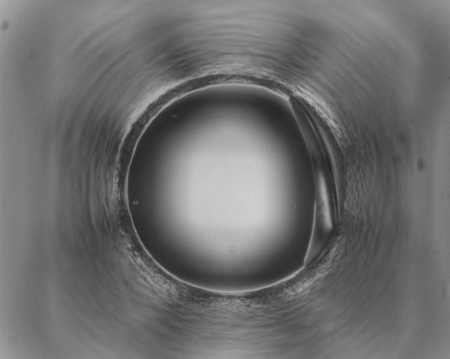 X0000087390880200704271619