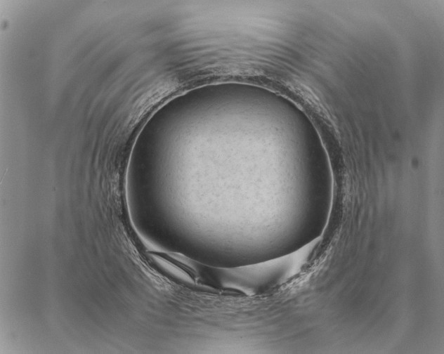 X0000087390881200704271619