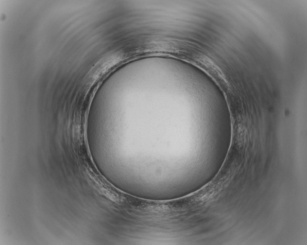 X0000087390882200704271619