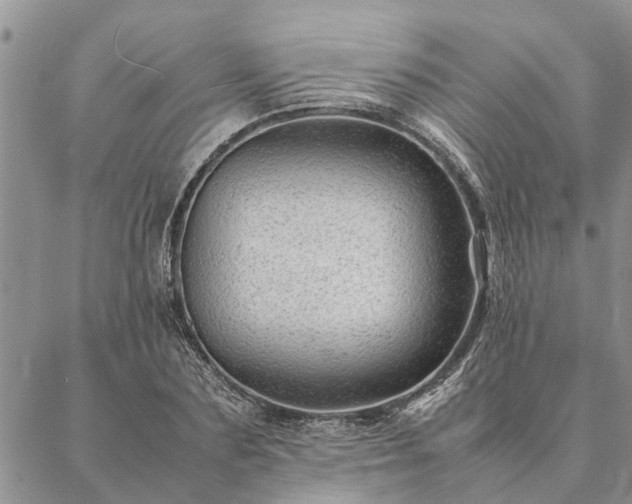 X0000087390883200704271619