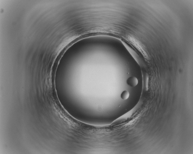 X0000087390884200704271619