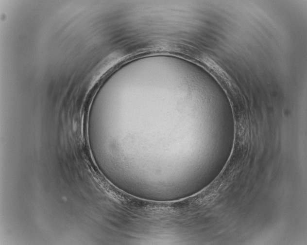 X0000087390886200704271619