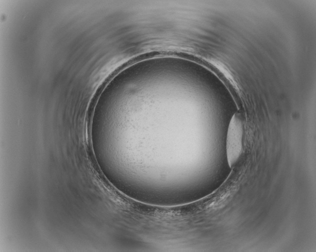 X0000087390887200704271619