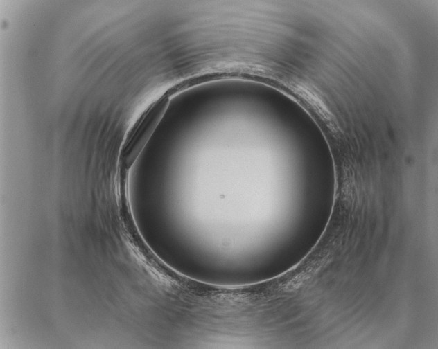 X0000087390888200704271619