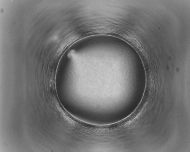 X0000087390889200704271619