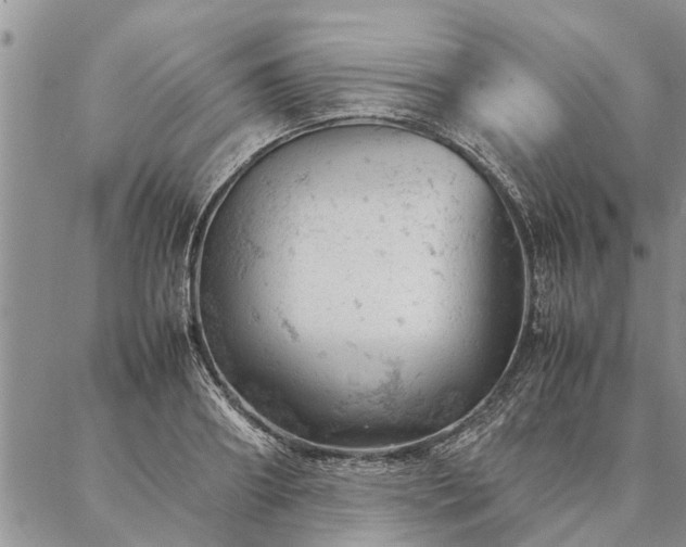 X0000087390890200704271619