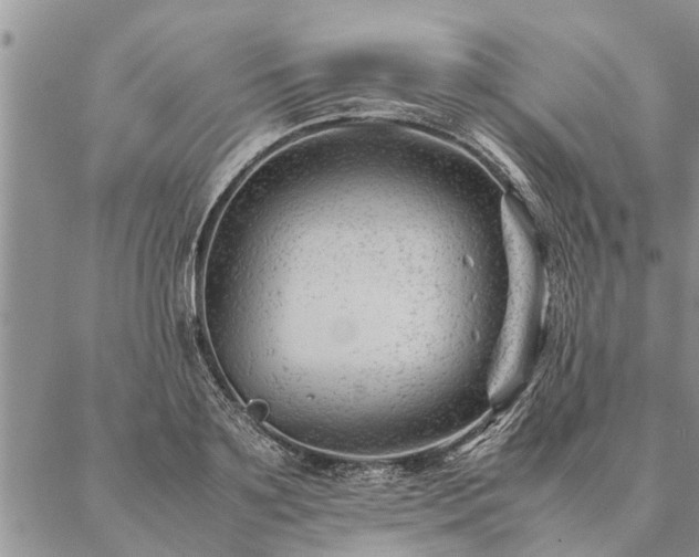 X0000087390891200704271619