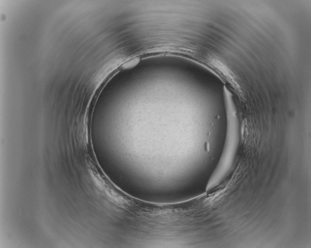 X0000087390892200704271619