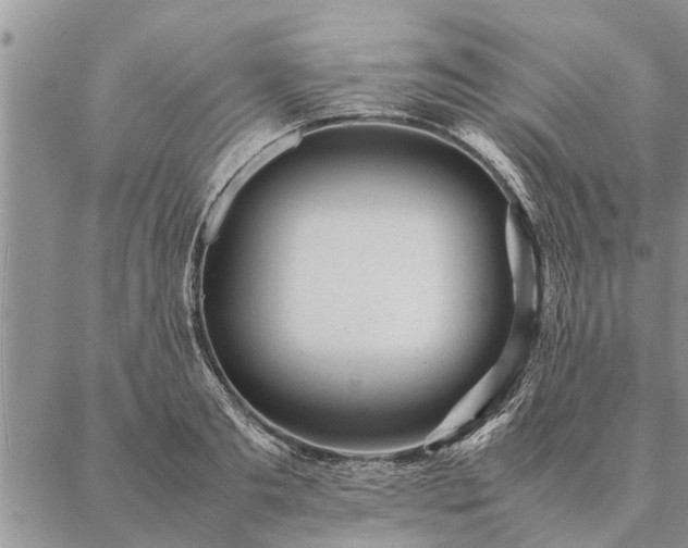 X0000087390893200704271619