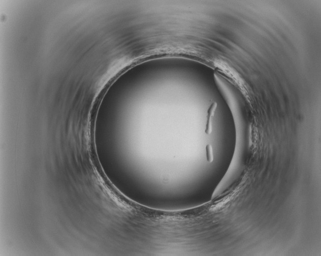 X0000087390894200704271619