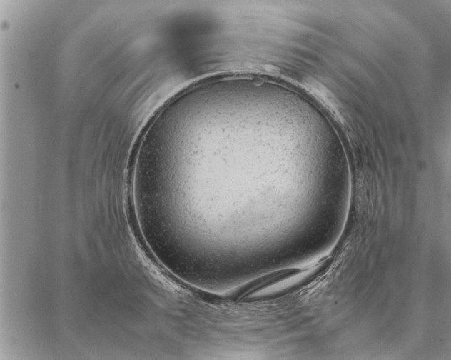 X0000087390895200704271619