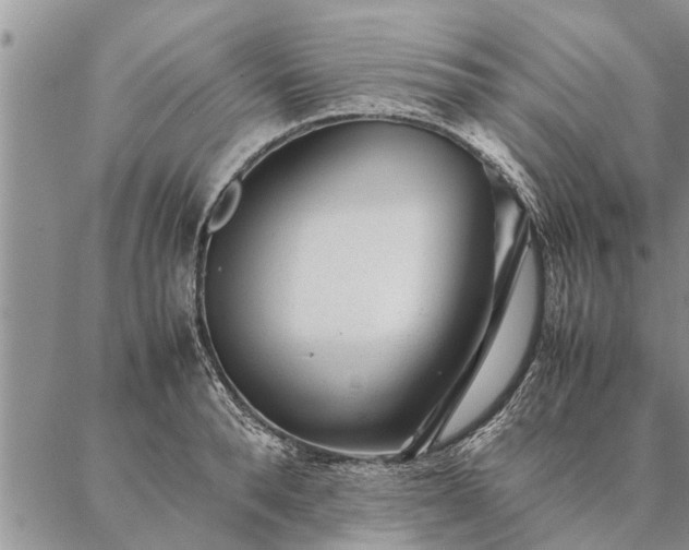 X0000087390896200704271619