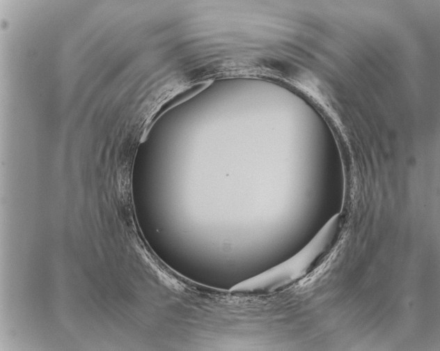 X0000087390897200704271619