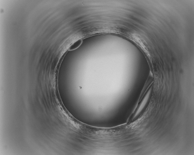 X0000087390898200704271619