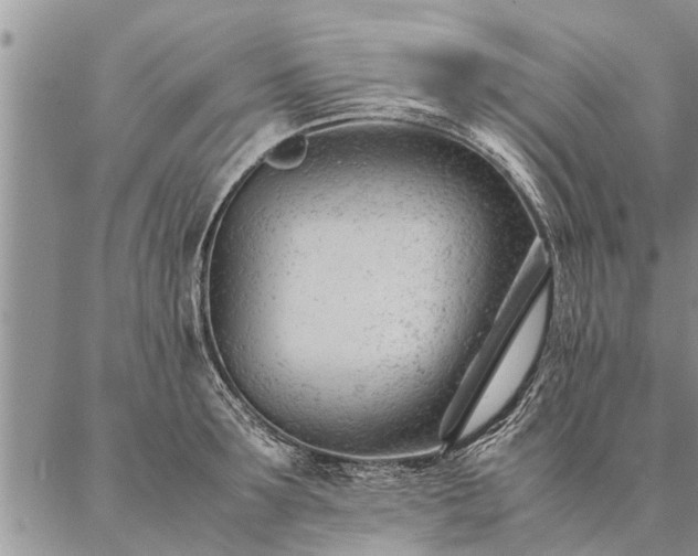 X0000087390899200704271619