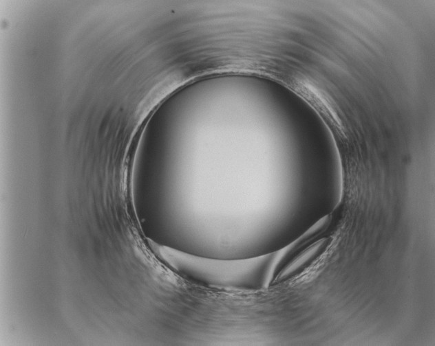 X0000087390900200704271619