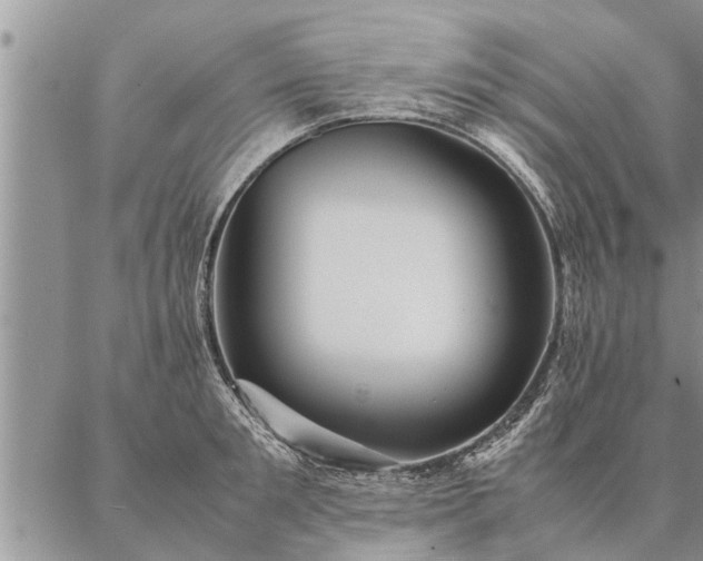 X0000087390901200704271619