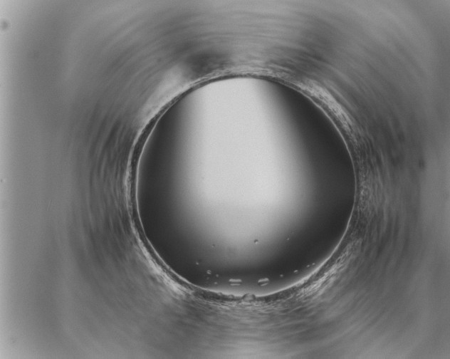 X0000087390902200704271619