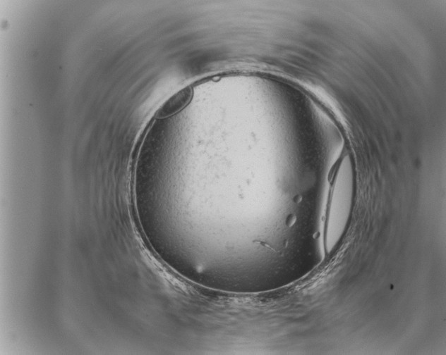 X0000087390903200704271619