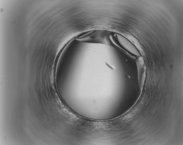 X0000087390904200704271619