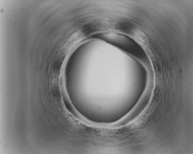 X0000087390905200704271619