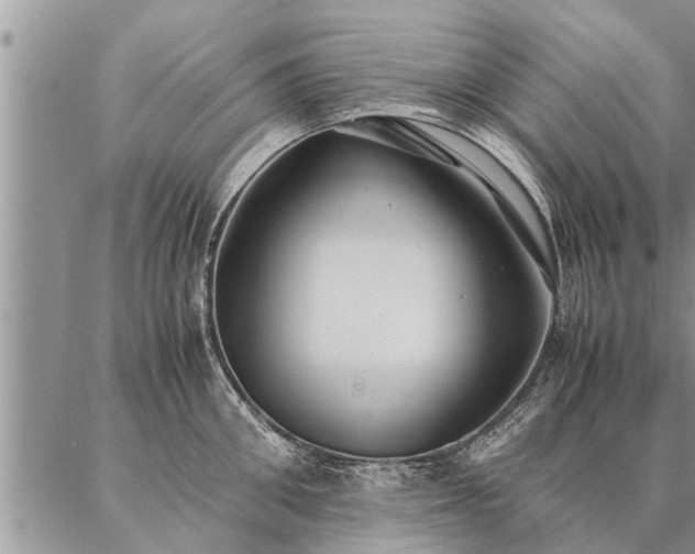 X0000087390906200704271619