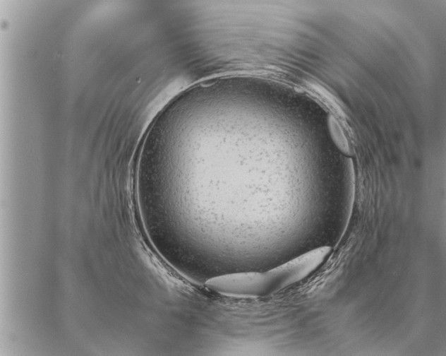 X0000087390907200704271619