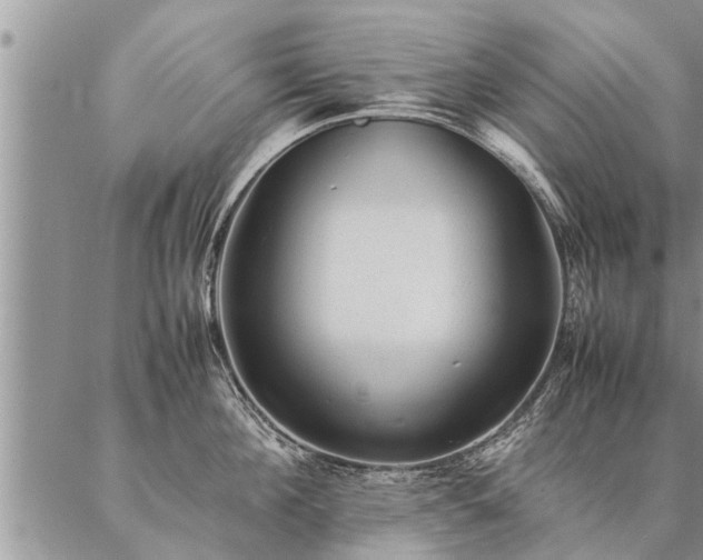 X0000087390908200704271619