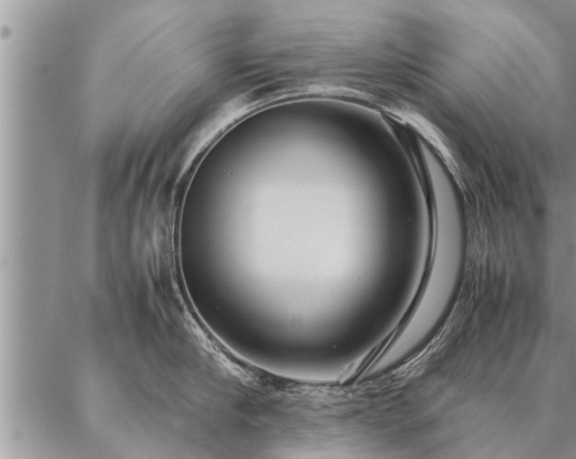 X0000087390910200704271619