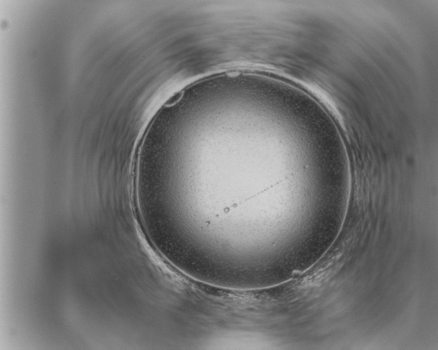 X0000087390911200704271619