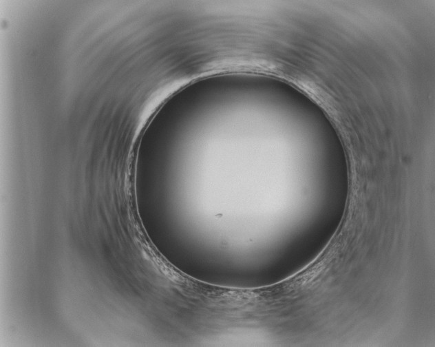 X0000087390912200704271619