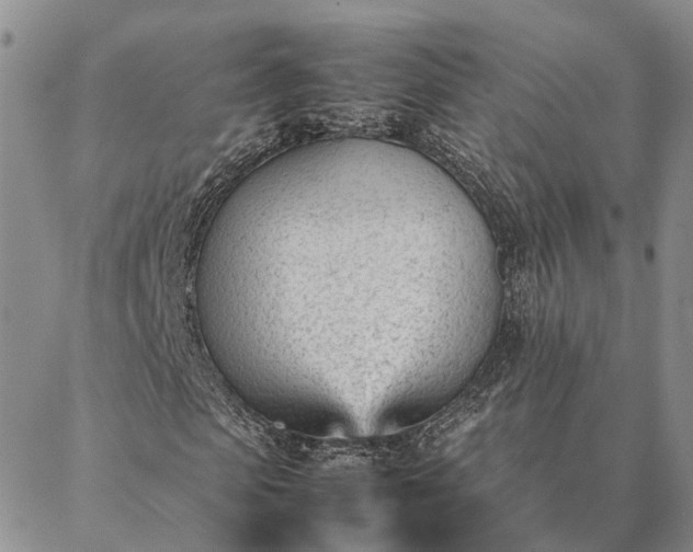 X0000087390913200704271618