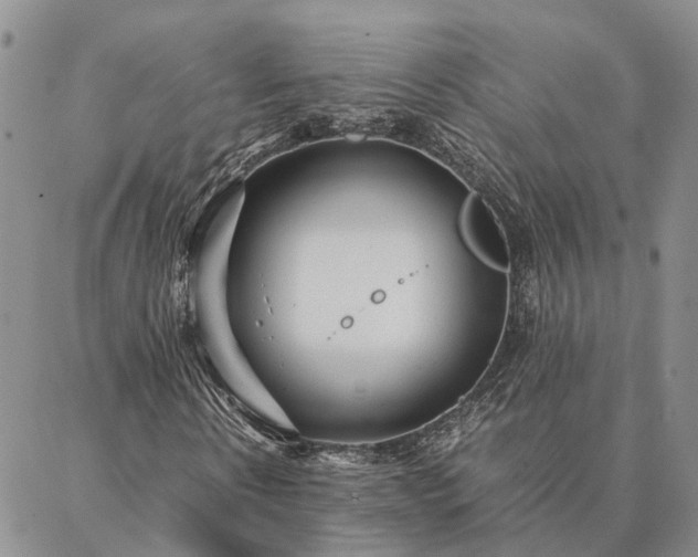 X0000087390914200704271618