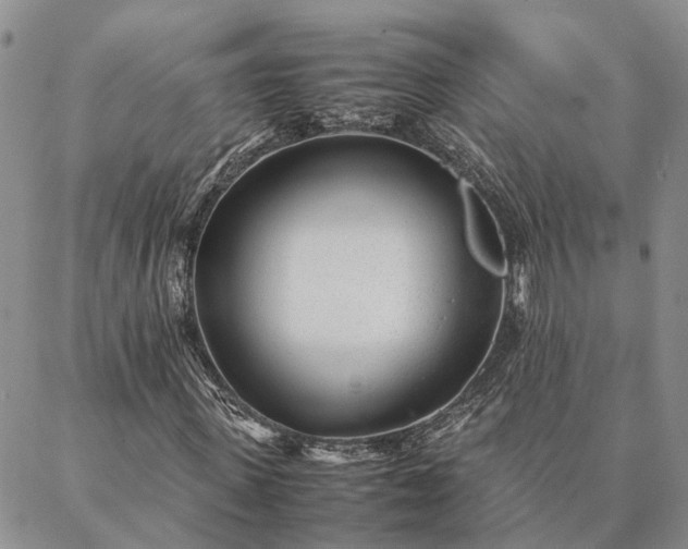 X0000087390915200704271618