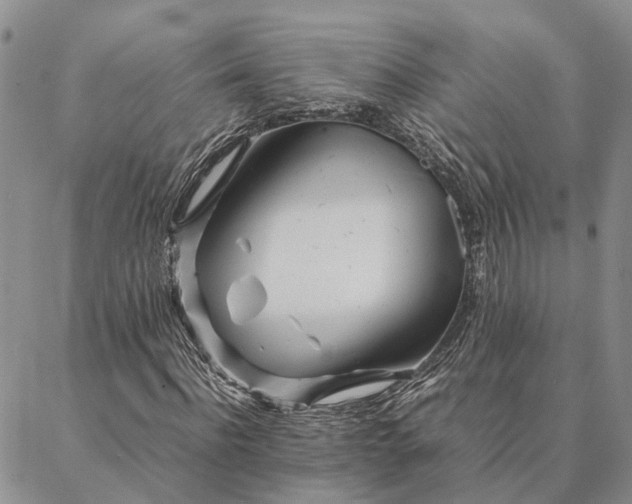 X0000087390916200704271618