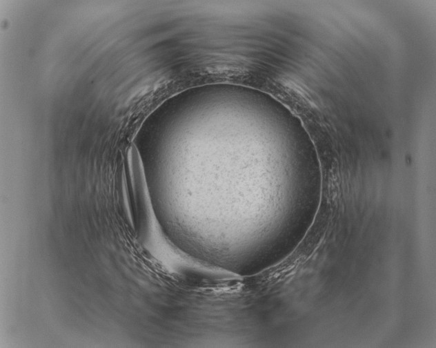 X0000087390917200704271618