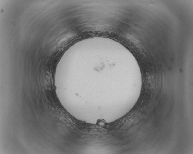 X0000087390918200704271618