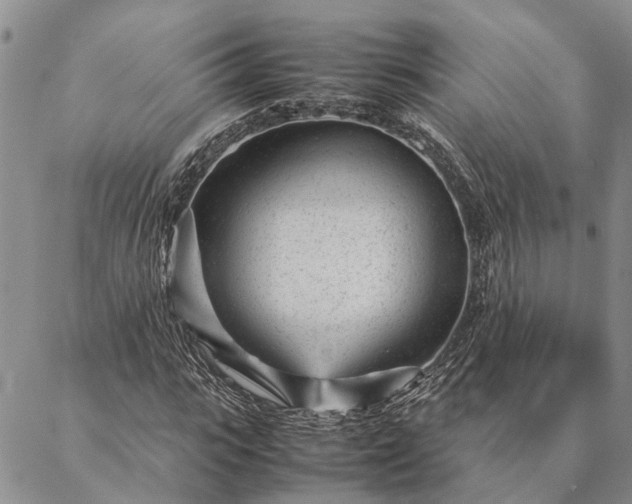 X0000087390919200704271618